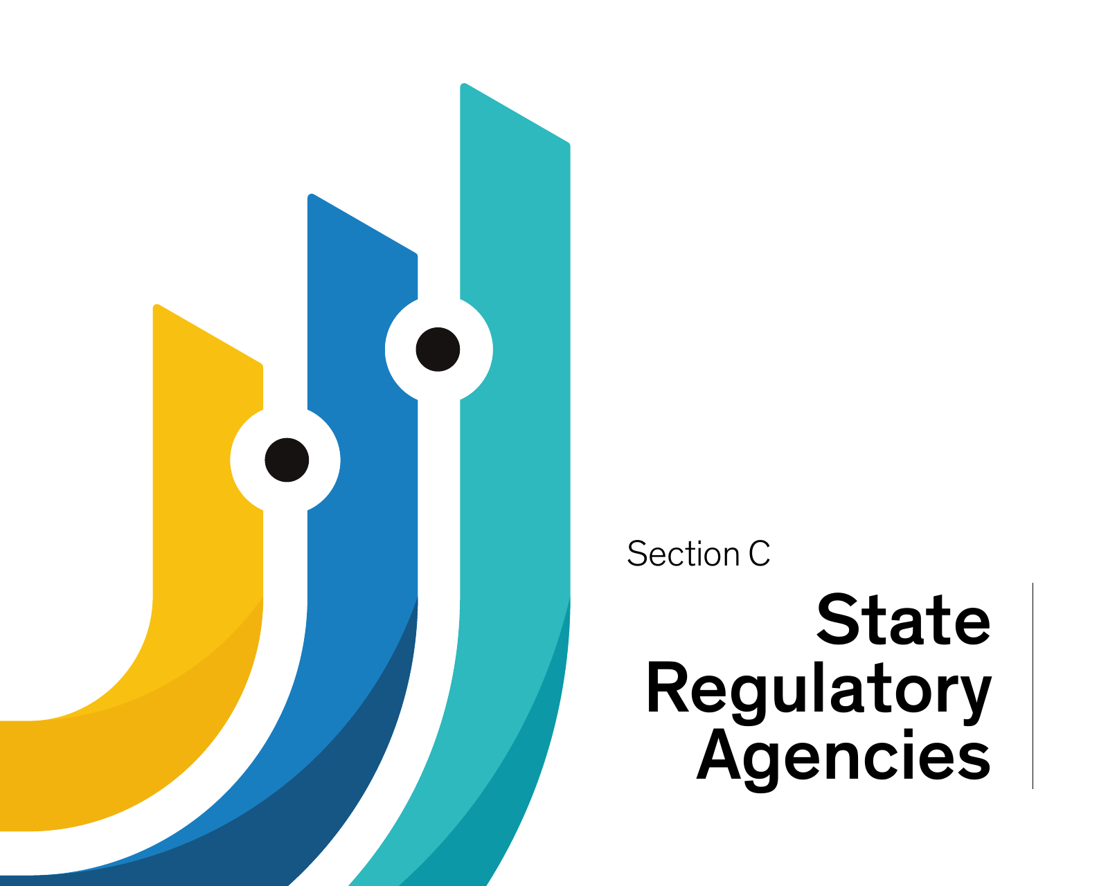 Section C divider from the report